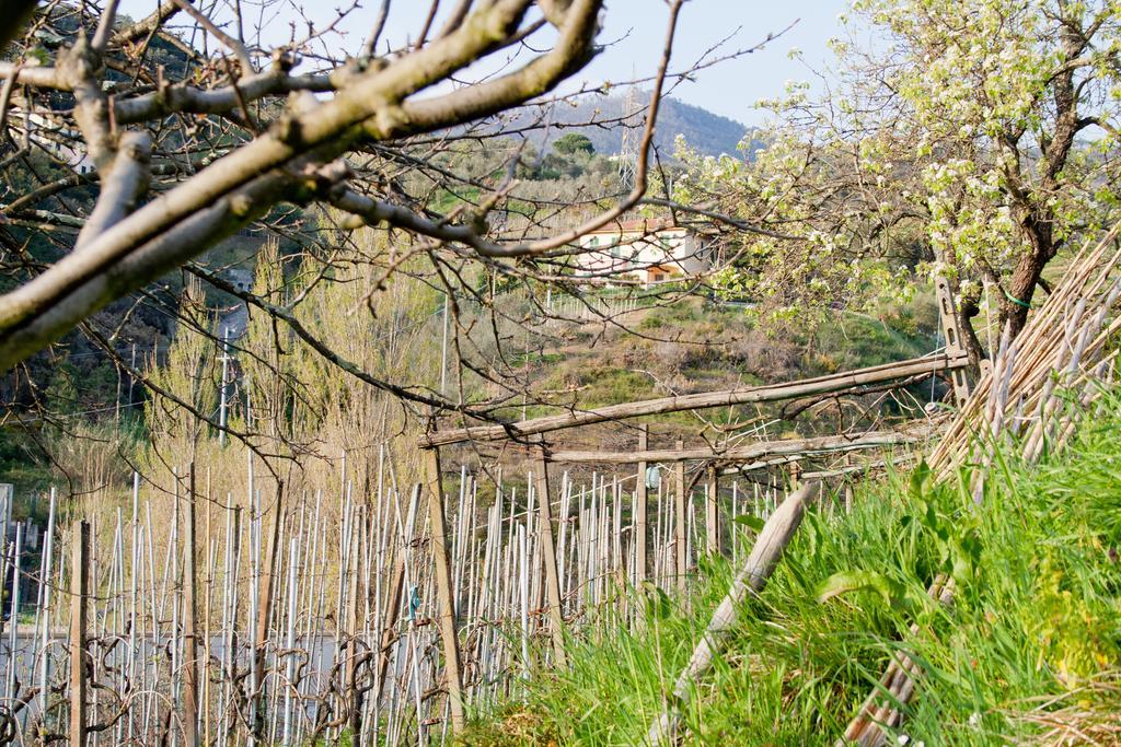 Family House Appartement Levanto Kamer foto